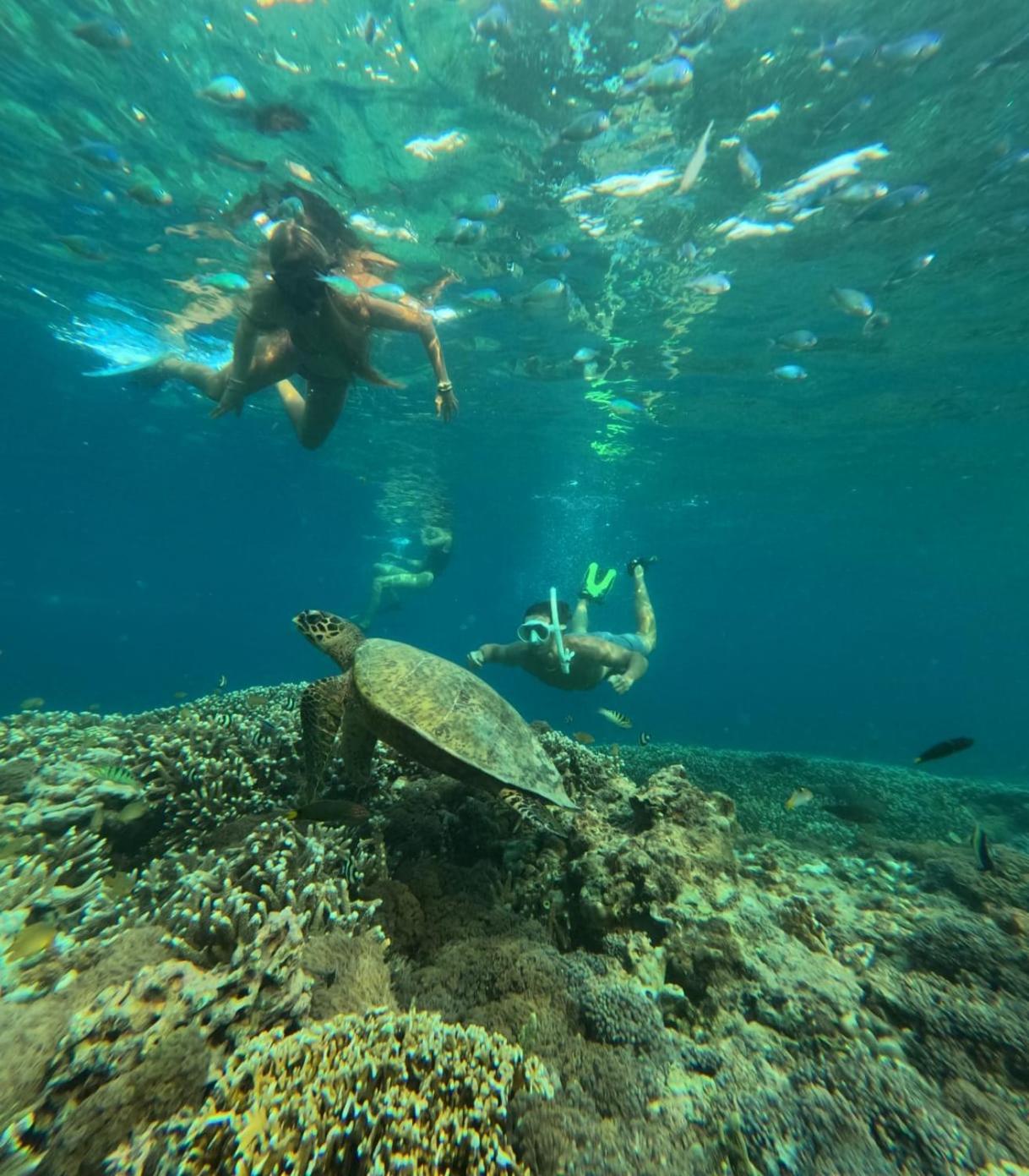 Pondok Anjani Gili Meno Exteriör bild